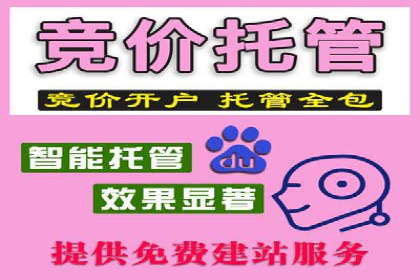 竞价SEM广告在娱乐行业的运用及效果展示